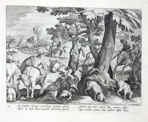 Cães perseguem cervos pelo cheiro, um pula de terror, fixando seus chifres nos galhos altos de uma árvore, ilustração de "Venationes, Ferarum, Avium, Piscium" (De Caça: Animais Selvagens, Pássaros, Peixes), eng